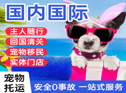 连云港空运公司国际宠物托运 【国